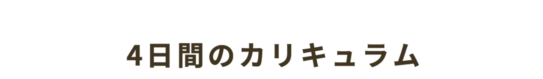 4日間のカリキュラム